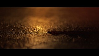Chaaver.2023.1080p.x264.AAC.Hin.BTs.VTL