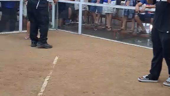 2nd fight w 2 cock derby champion