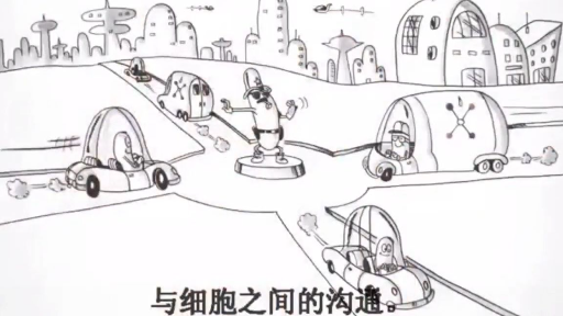 什么是氧化还原信号分子?