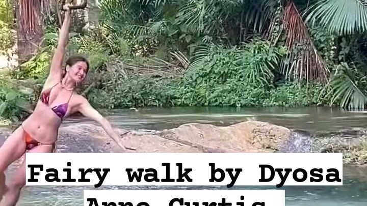 Ann Curtis : FAIRYWALK