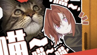买了只猫（第一天到家就在客厅喵喵叫的小可爱是谁呀？当然是夏君…怎么是老爸啊！）【3D安洁】
