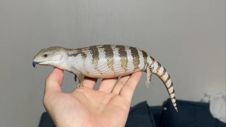 What the heck, two months?