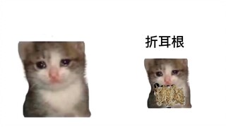 Sichuan Croissant Cat