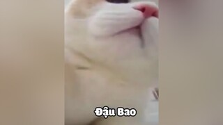 Lâu qué không đăng video nhớ mn quá😭❤️xuhuong meocute