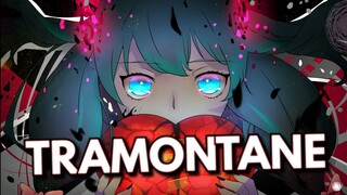 「AMV」Anime Mix-Tramontane