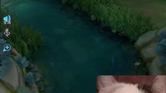 Playing Xiao Qiao can actually find the wild king