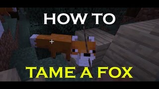 How to tame a Fox in Minecraft 2020