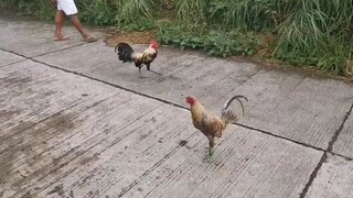 348835872_6312418892180473_4500015690613299213_n