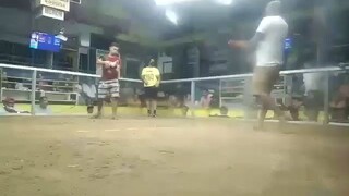 My firs fight 2hits ulutan Majada complex.           champion   🏆🏆