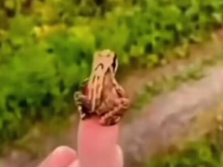 คุณรู้ไหม💀