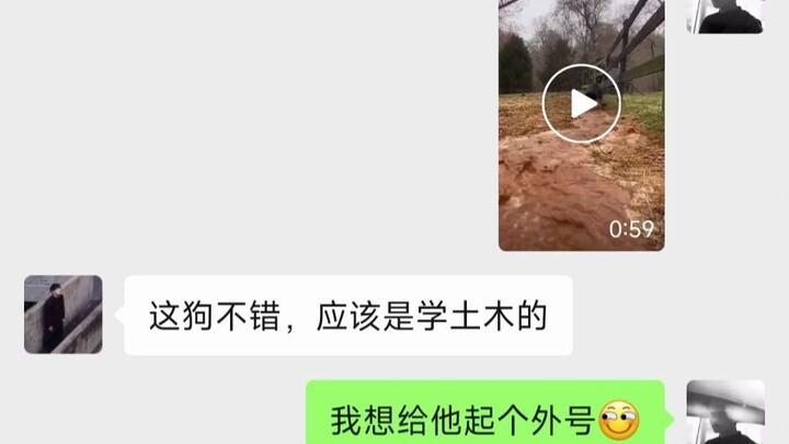 Đây là một chú chó từng ở trên công trường, vì nghĩ tên cho nó mà suýt bị đánh.