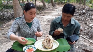 Một Ngày Trúng Mánh Mua Được Con Gà Cho Bà Nhà Ăn Bồi Dưỡng| TKQ T252