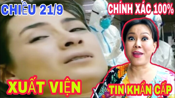 🔴 Chiều 21/9: BS BV Chợ Rẫy thông báo "KHẨN" cho Việt Hương Sức Khỏe của ca sĩ Phi Nhung Hồi Phục