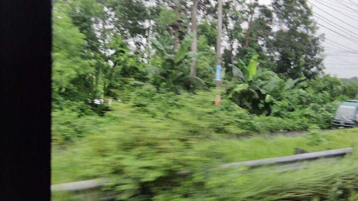 Road to Gorai