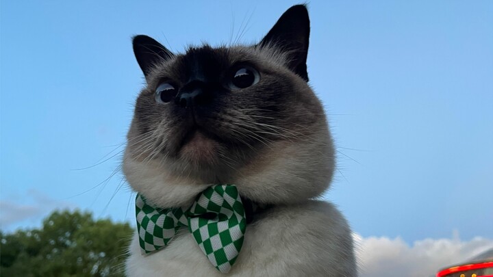 "มนุษย์ที่ถูกสยามควบคุม"