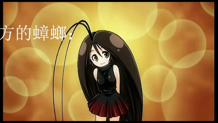 صراصير الجنوب وصراصير الشمال