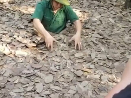 เทคนิคการล่องหนในป่า