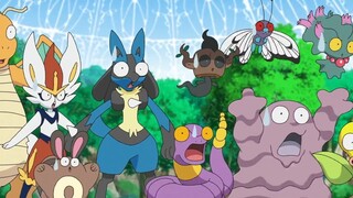 Pokemon Sword and Shield tập 39: Làm ơn! Hãy thu phục Morpeko đi!!