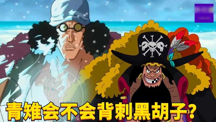 Will Aokiji stab Blackbeard in the back? #1759