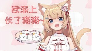 【五分钟看猫猫】变成Zcup的猫猫你喜欢吗