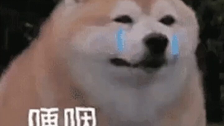 好吧，原谅这个世界30s