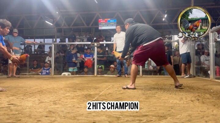 2 Hits Champion! JRP White and JRP dome!