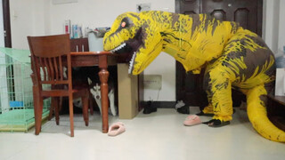 Dinosaur VS. Huskie-What will happen?