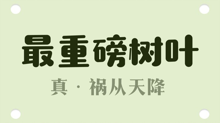 How ruthless is the assassin of the leaf kingdom?