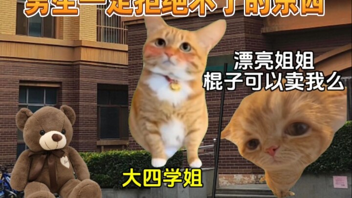 สิ่งที่ผู้ชายปฏิเสธไม่ได้แน่นอน