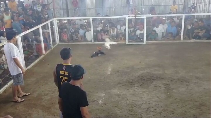 Naka one shot pa panalo pa