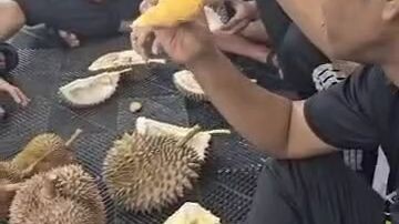 mukbang durian