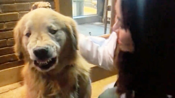 Madam, even if you're drunk, please behave yourself.