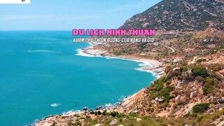 DU LỊCH NINH THUẬN _ Khám phá Cung Đường Ven Biển DT702 đến Vịnh Vĩnh Hy 2