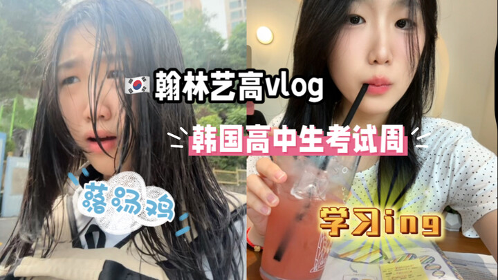 翰林艺高vlog｜艺高也要学习？｜艺高学生的期末周如何度过…