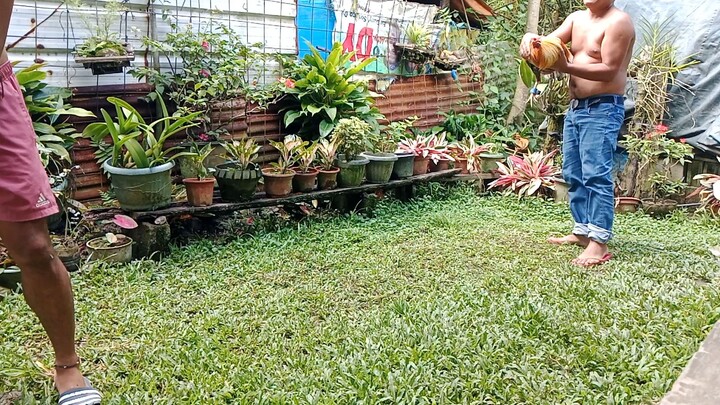 golden boy sweater grey vs golden boy sweater dome 11/26/2023