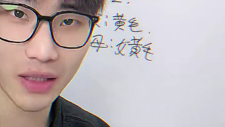 ฟรีสไลท์คือคำโกหกของเธอ