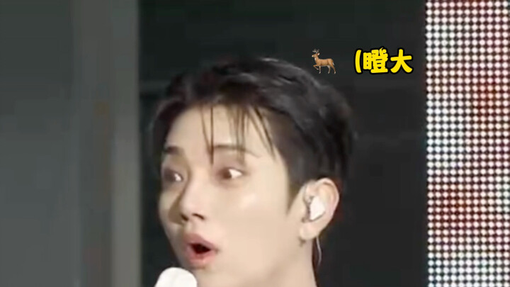 Rất thích “khảo sát thị trường” của các bạn hahahaha