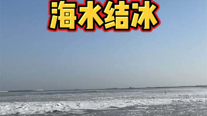 When I Begged My Grandpa to Help Me Find a Partner