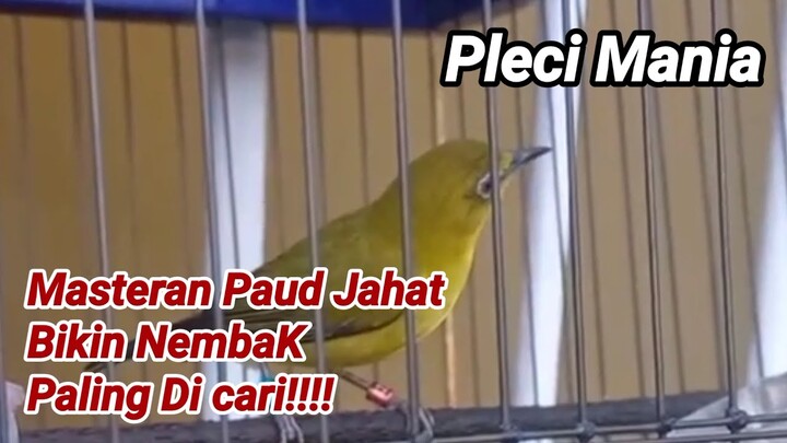 Paud Jahat Bikin Nembak Paling di Cari!!!