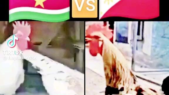 the best is Philippines 🤭😂😂