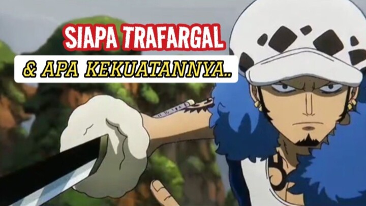 SIAPA TRAFALGAR & KEKUATANNYA, Moment One Piece