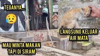 Astagfirullah Kucing Minta Makan Di Usir Di Siram Air Bikin Sedih Lihat Ending Bikin Nangis..!