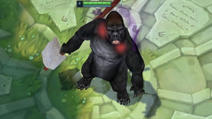 Gorilla Gorilla No Hand