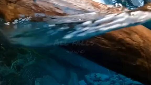 ✨This is so beautiful✨