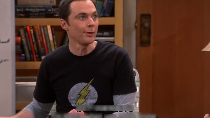 【TBBT】Sheldon: You can treat me like a puppy. I will be very happy when I get home.