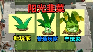 新植物-阳光韭菜，一颗拓维以牢玩家为原型做的植物