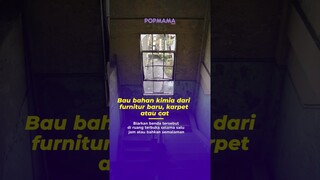 7 Bau di Dalam Rumah Ini Bisa Menjadi Tanda Bahaya