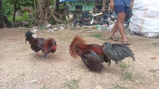 Condition muna