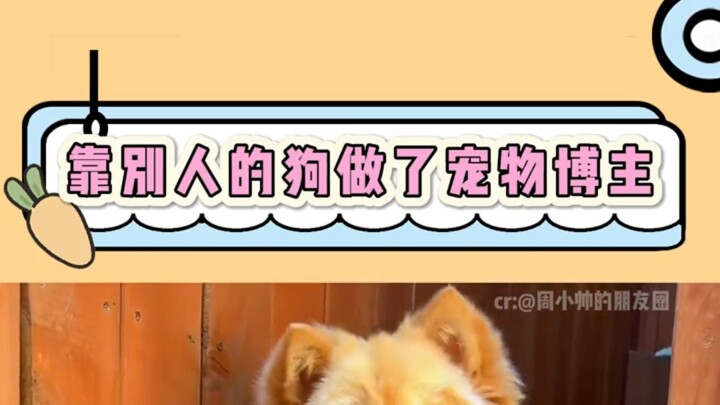 ยอดฝีมือเก่งกาจ แม้ไม่ได้เลี้ยงสัตว์ก็เป็นบล็อกเกอร์สัตว์เลี้ยงได้!