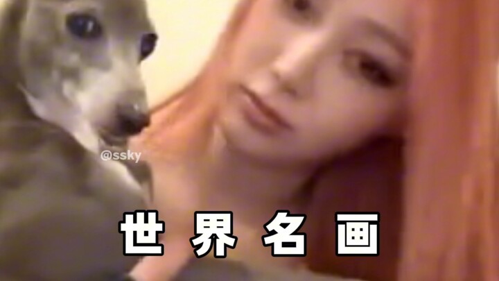 أَلْطُفُ كلب في عالم الكي-بوب يتمتع بأعلى نسبة كوميديا تلفزيونية وُلِدَ في منزل جيزيل!